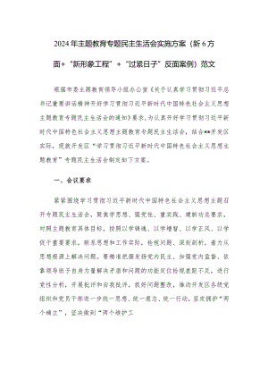 2024年主题教育专题民主生活会实施方案（新6方面+“新形象工程”+“过紧日子”+反面案例）范文.docx