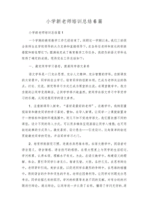 小学新教师培训总结6篇.docx