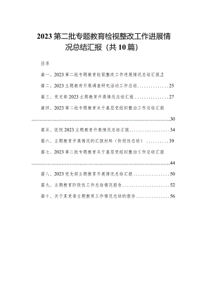 第二批专题教育检视整改工作进展情况总结汇报最新精选版【10篇】.docx
