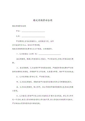 精试用期劳动合同.docx