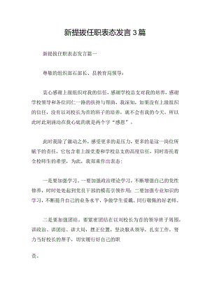 新提拔任职表态发言3篇.docx