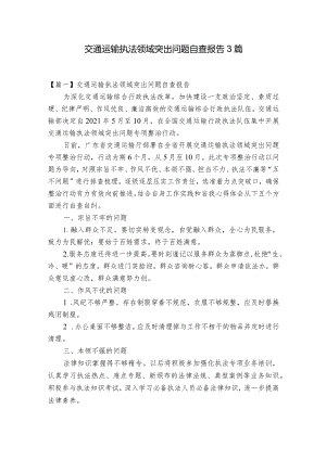 交通运输执法领域突出问题自查报告3篇.docx