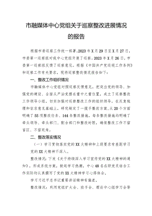 市融媒体中心党组关于巡察整改进展情况的报告.docx
