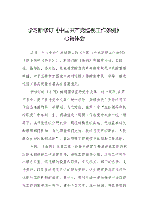 2024年学习新修改《中国共产党巡视工作条例》心得体会(五篇).docx