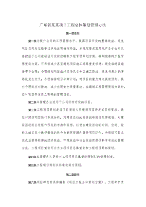 广东省某某项目工程总体策划管理办法.docx