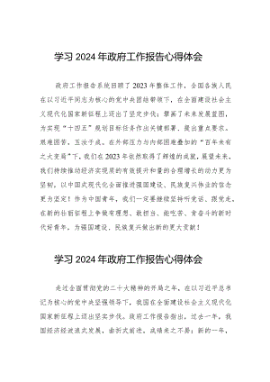 2024年全国两会政府工作报告心得体会二十篇.docx