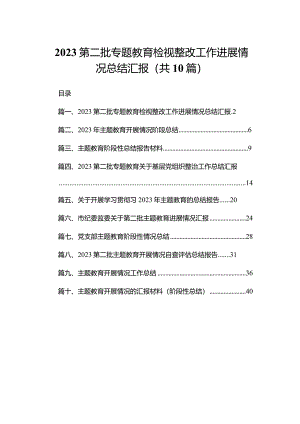 第二批专题教育检视整改工作进展情况总结汇报10篇供参考.docx