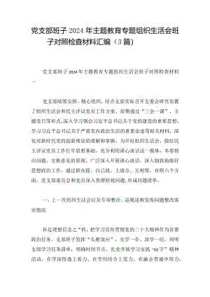 党支部班子2024年主题教育专题组织生活会班子对照检查材料汇编（3篇）.docx
