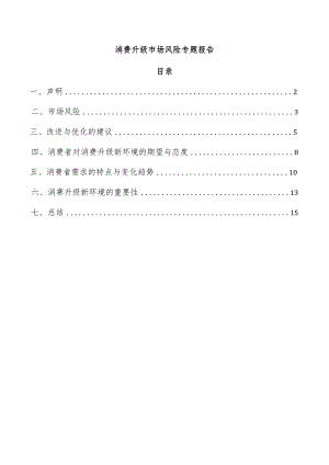 消费升级市场风险专题报告.docx