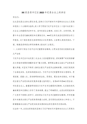 XX某县委书记在2023年纪委全会上的讲话【 】.docx