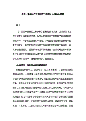 学习《中国共产党巡视工作条例》心得体会两篇.docx