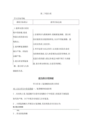 2023-2024学年人教版新教材选择性必修三 第四章第二节 蛋白质 学案.docx