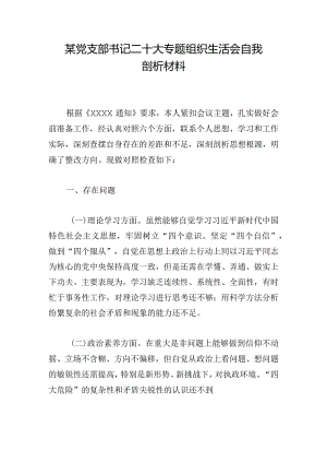 某党支部书记二十大专题组织生活会自我剖析材料.docx