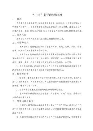“三违”行为管理制度模板.docx