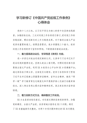 乡干部学习贯彻2024版新修订《中国共产党巡视工作条例》学习体会交流发言(五篇).docx