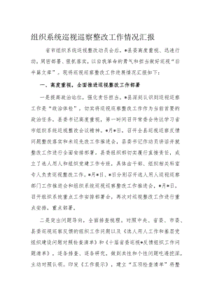 组织系统巡视巡察整改工作情况汇报.docx