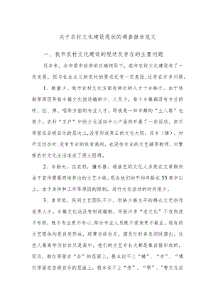 关于农村文化建设现状的调查报告范文.docx