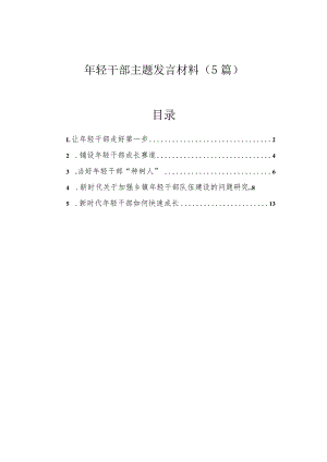 研讨发言：年轻干部交流材料（5篇）.docx