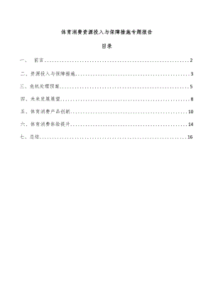 体育消费资源投入与保障措施专题报告.docx