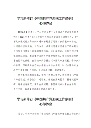 巡察干部学习2024新修订中国共产党巡视工作条例心得体会(五篇).docx