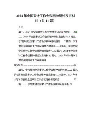 （11篇）2024年全国审计工作会议精神研讨发言材料最新.docx