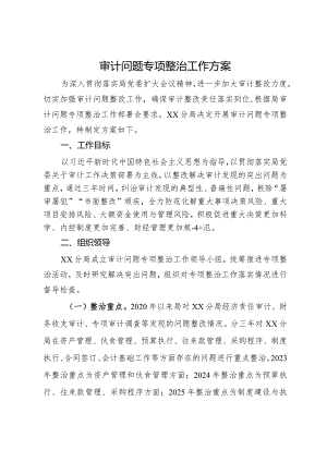 审计问题专项整治工作方案.docx