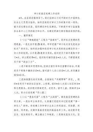 审计抓基层党建工作述职.docx