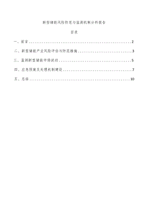 新型储能风险防范与监测机制分析报告.docx