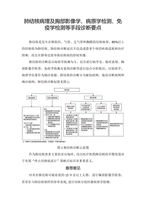 肺结核病理及胸部影像学、病原学检测、免疫学检测等手段诊断要点.docx
