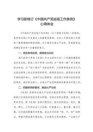 乡镇书记学习2024新修订中国共产党巡视工作条例心得体会(五篇).docx