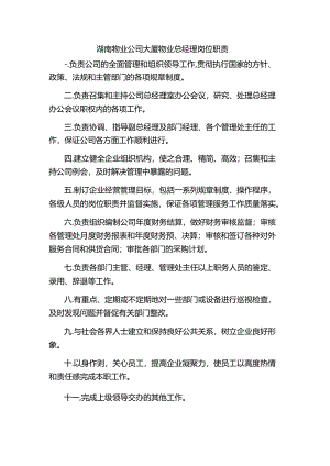 湖南物业公司大厦物业总经理岗位职责.docx