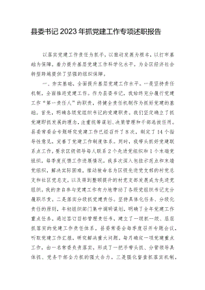 县委书记2023年抓党建工作专项述职报告.docx