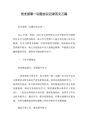 党支部第一议题会议记录范文三篇.docx
