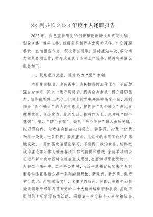 XX副县长2023年度个人述职报告.docx