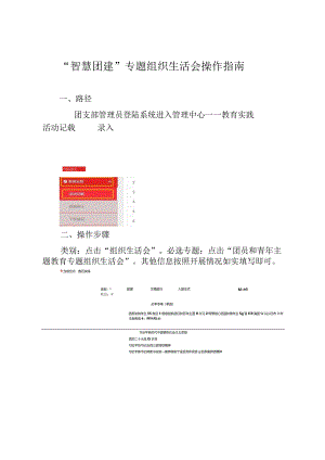 “智慧团建”专题组织生活会操作指南.docx