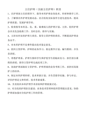 主任护师（含副主任护师）职责.docx