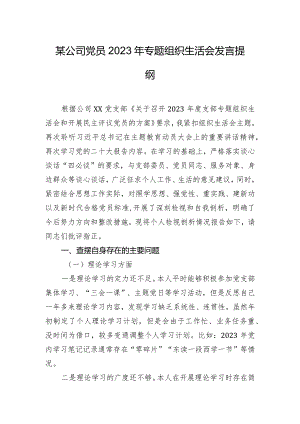 某公司党员2023年专题组织生活会发言提纲.docx