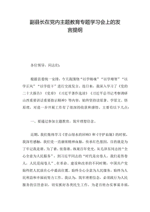 副县长在党内主题教育专题学习会上的发言提纲.docx