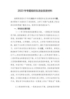 2023年专题组织生活会发言材料.docx