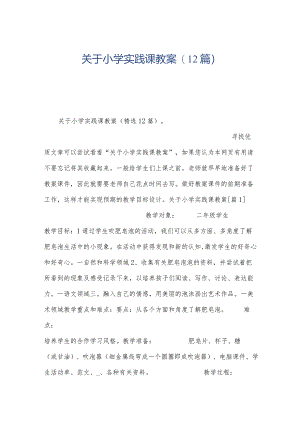 关于小学实践课教案(12篇).docx