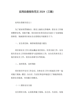 实用自查报告范文2024(三篇).docx