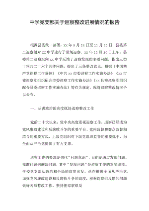 中学党支部关于巡察整改进展情况的报告.docx