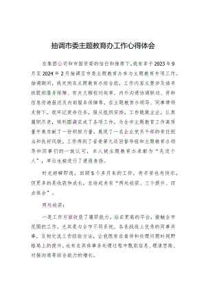 心得体会：抽调市委主题教育办工作感悟.docx