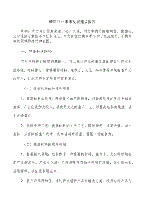 硅料行业未来发展建议报告.docx