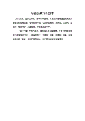 冬番茄栽培新技术.docx