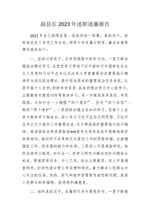 副县长2023年述职述廉报告.docx