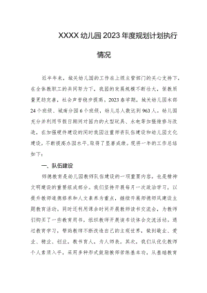 幼儿园2023年度规划计划执行情况.docx