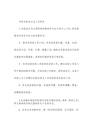 学校实验室主任工作职责.docx