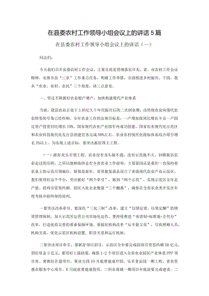 在县委农村工作领导小组会议上的讲话5篇.docx