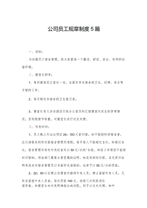 公司员工规章制度5篇.docx
